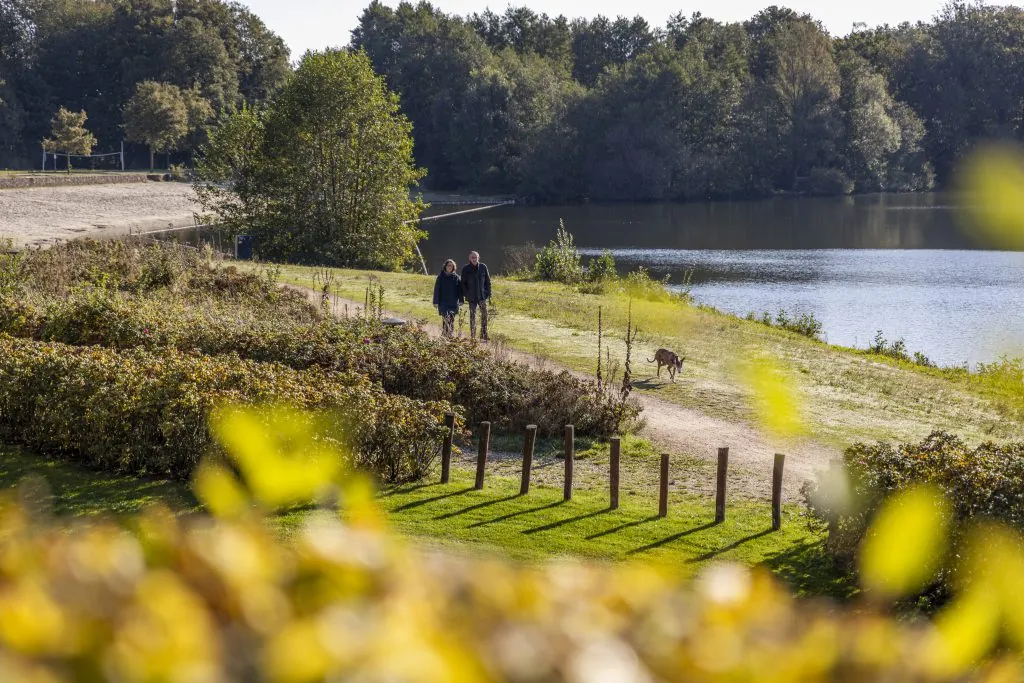 Zwei Spaziergänger mit Hund auf dem Weg am See, dahinter Wald